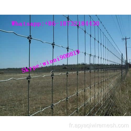 Clôture de clôture de clôture de prairies de 2,5 mm de 5 pieds